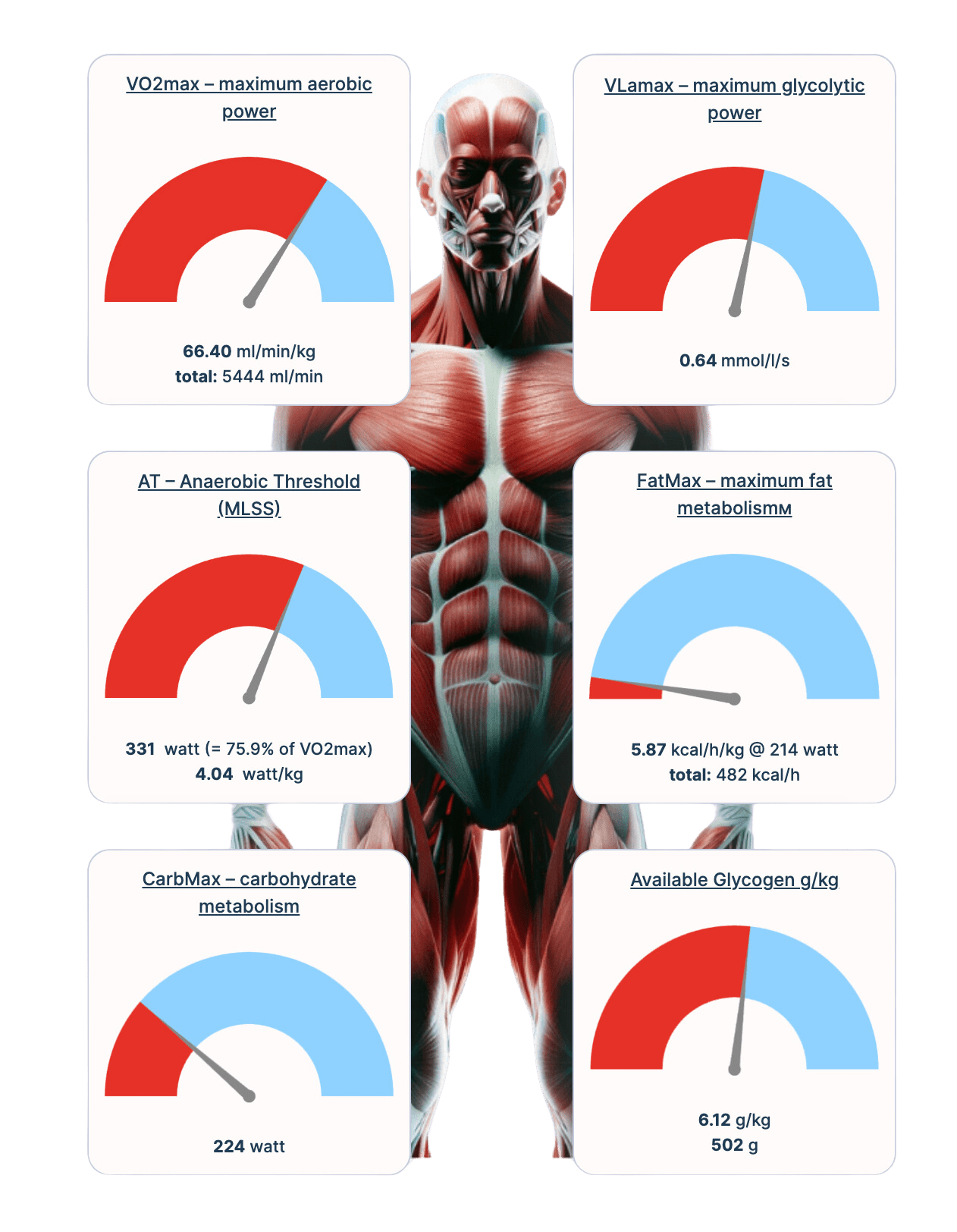 INSCYD Metabolic Profile
