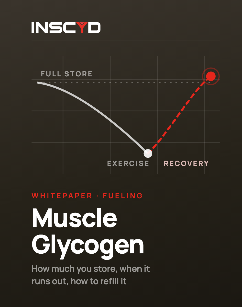 Muscle Glycogen and Exercise: all you need to know