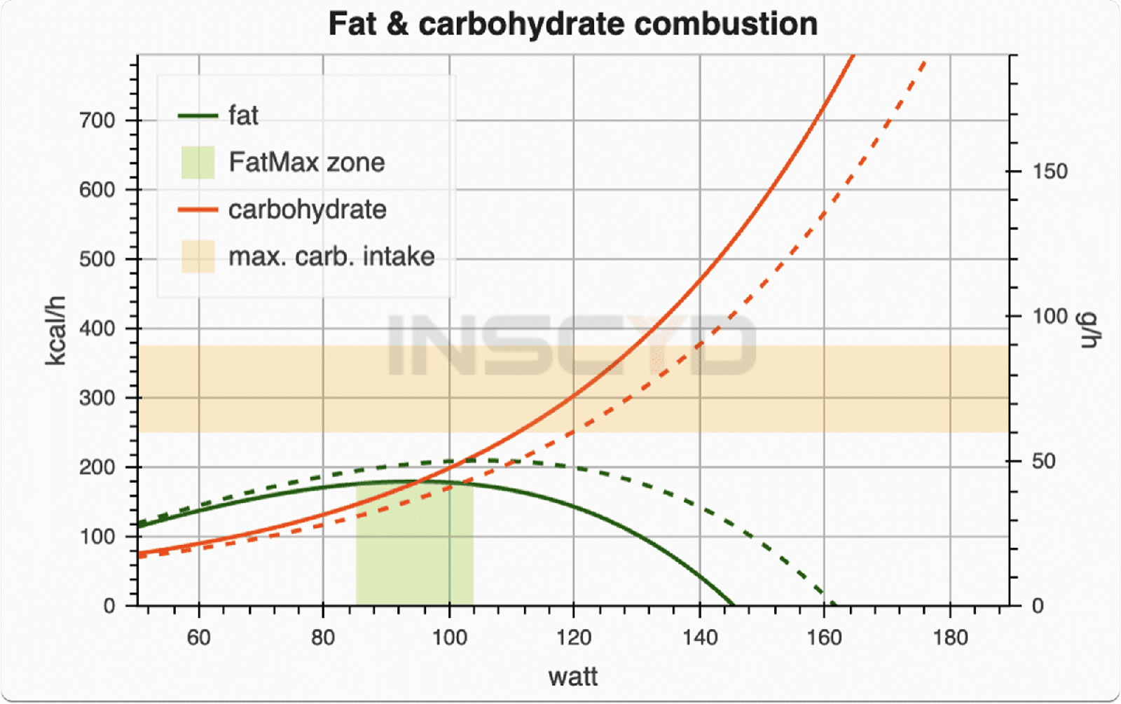 How to Calculate and Measure VO2Max: Testing Outside a Lab