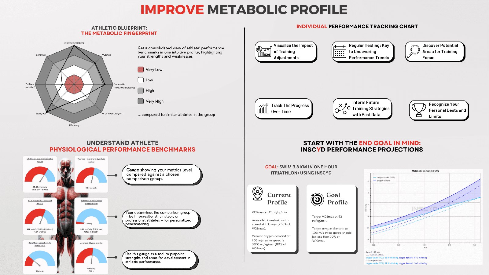 Improve Your Metabolic Profile: Key Metrics & Strategies