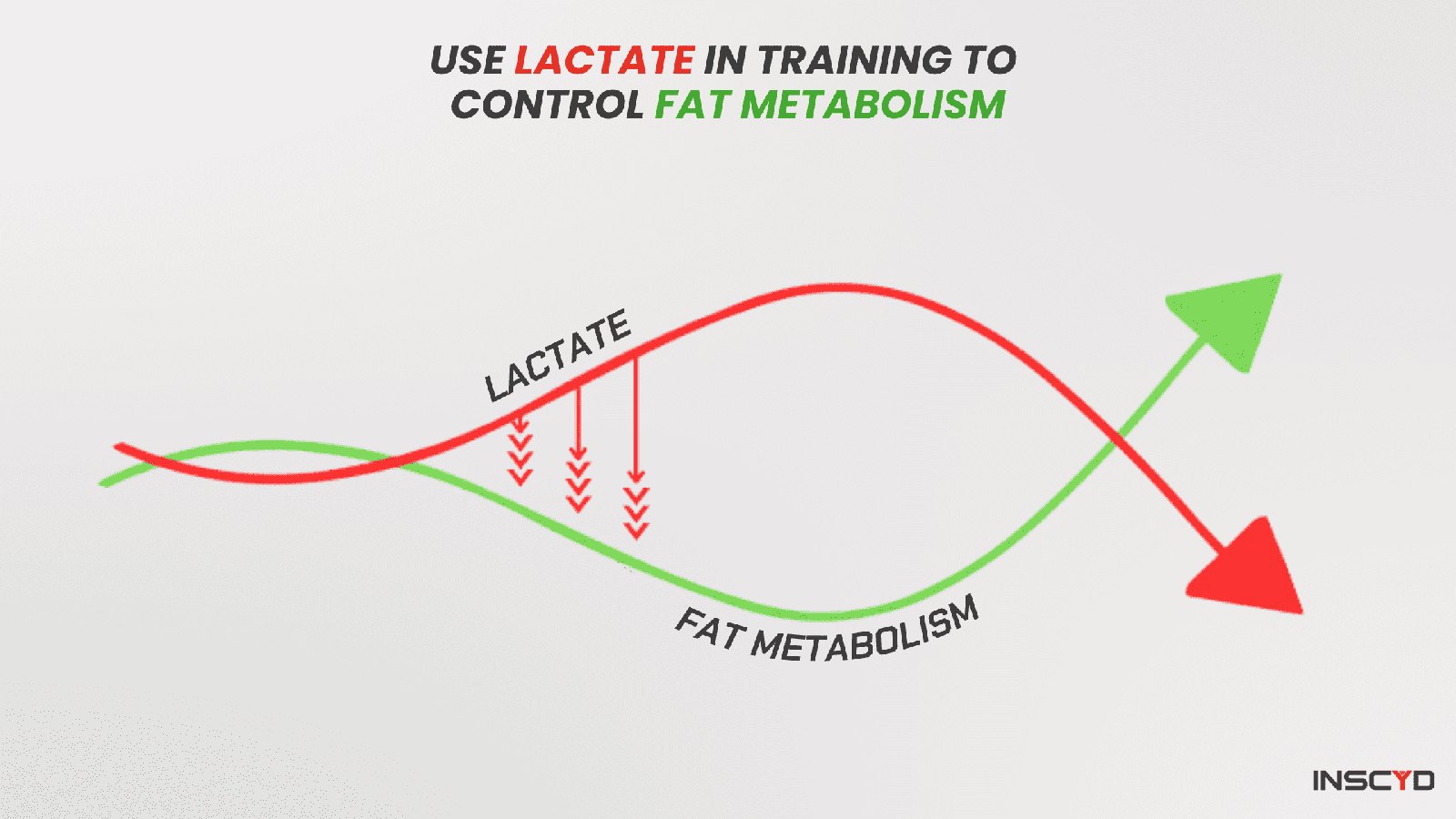 Using lactate in training to control fat metabolism
