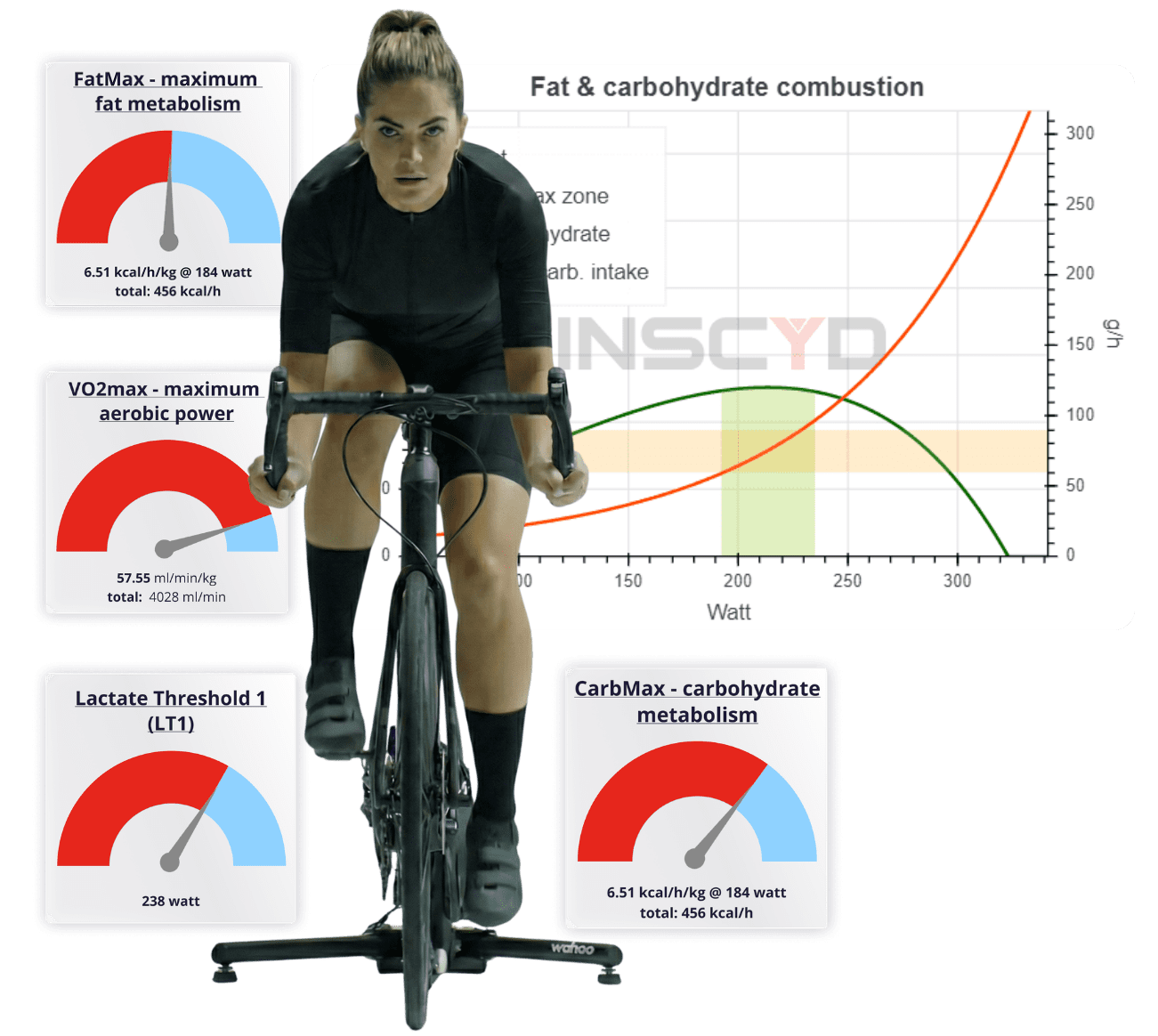 The 3 things you’re likely missing out on when doing lactate testing with triathletes