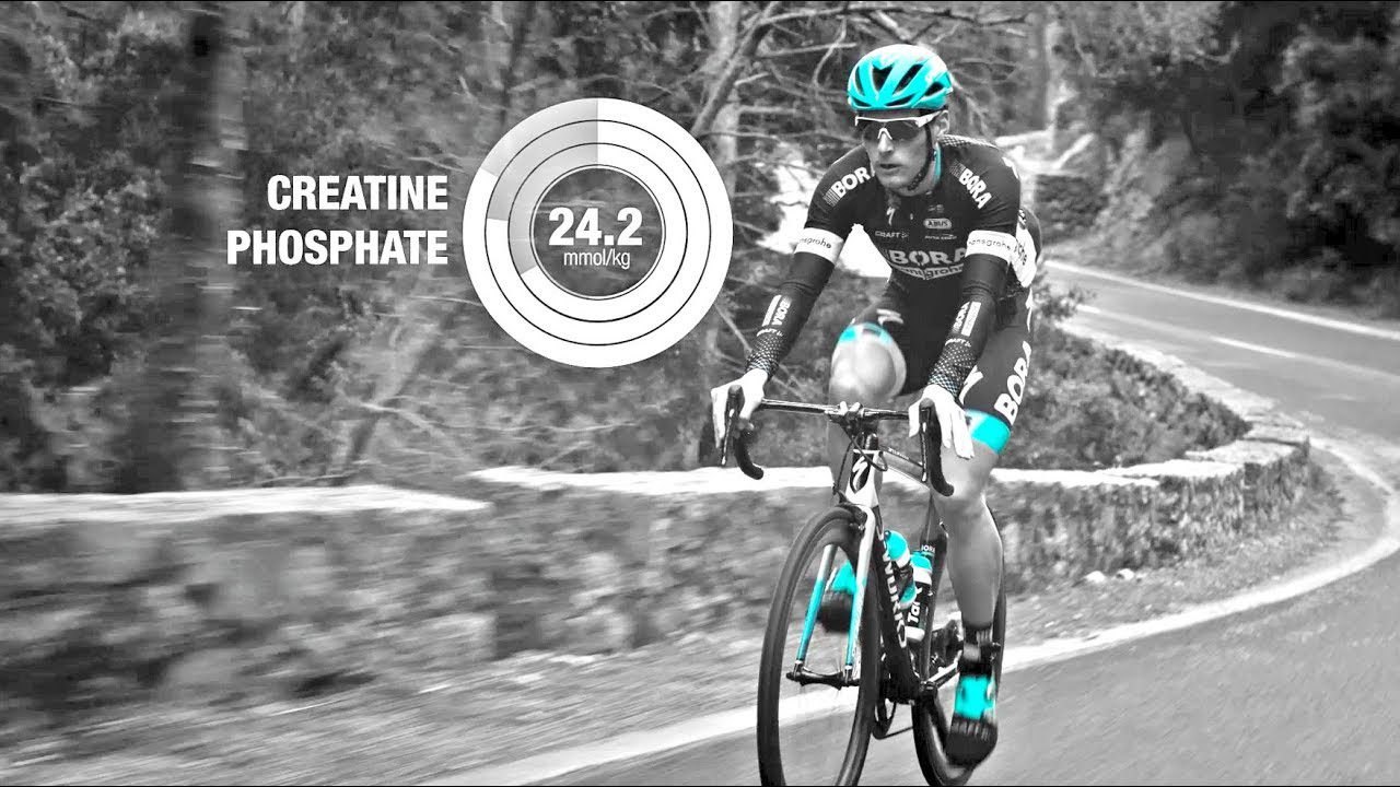 INSCYD partners with team Bora-hansgrohe