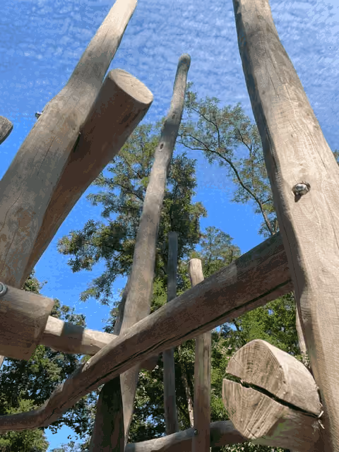 Blick durch ein Holz-Klettergerüst nach oben in Baumkronen und blauen Himmel.