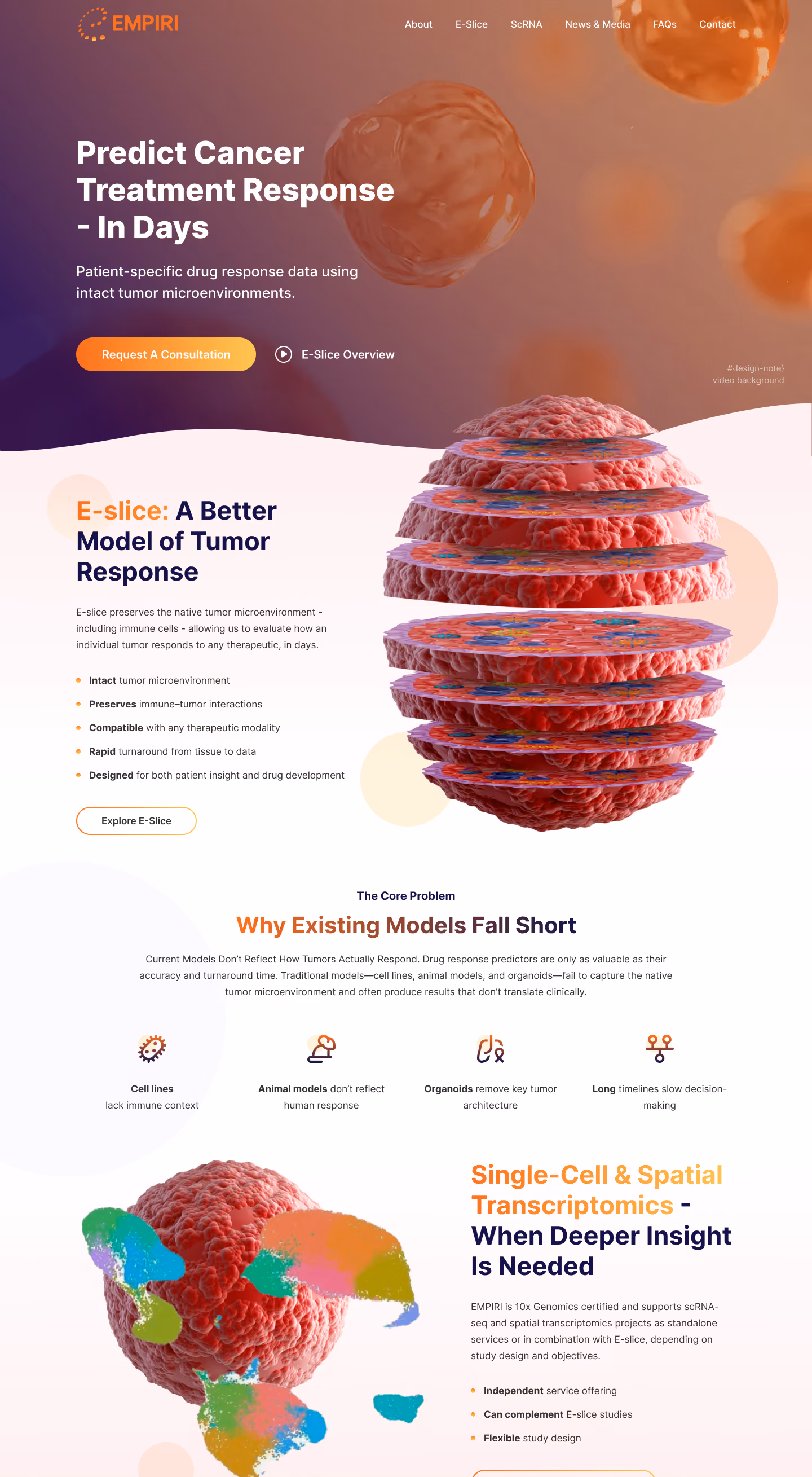 Infographic showing tumor tissue models with layered slices and colored spatial transcriptomics highlights.