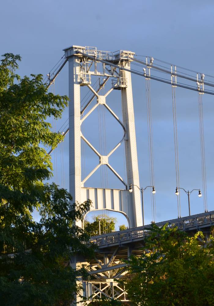 Bridge in foliage