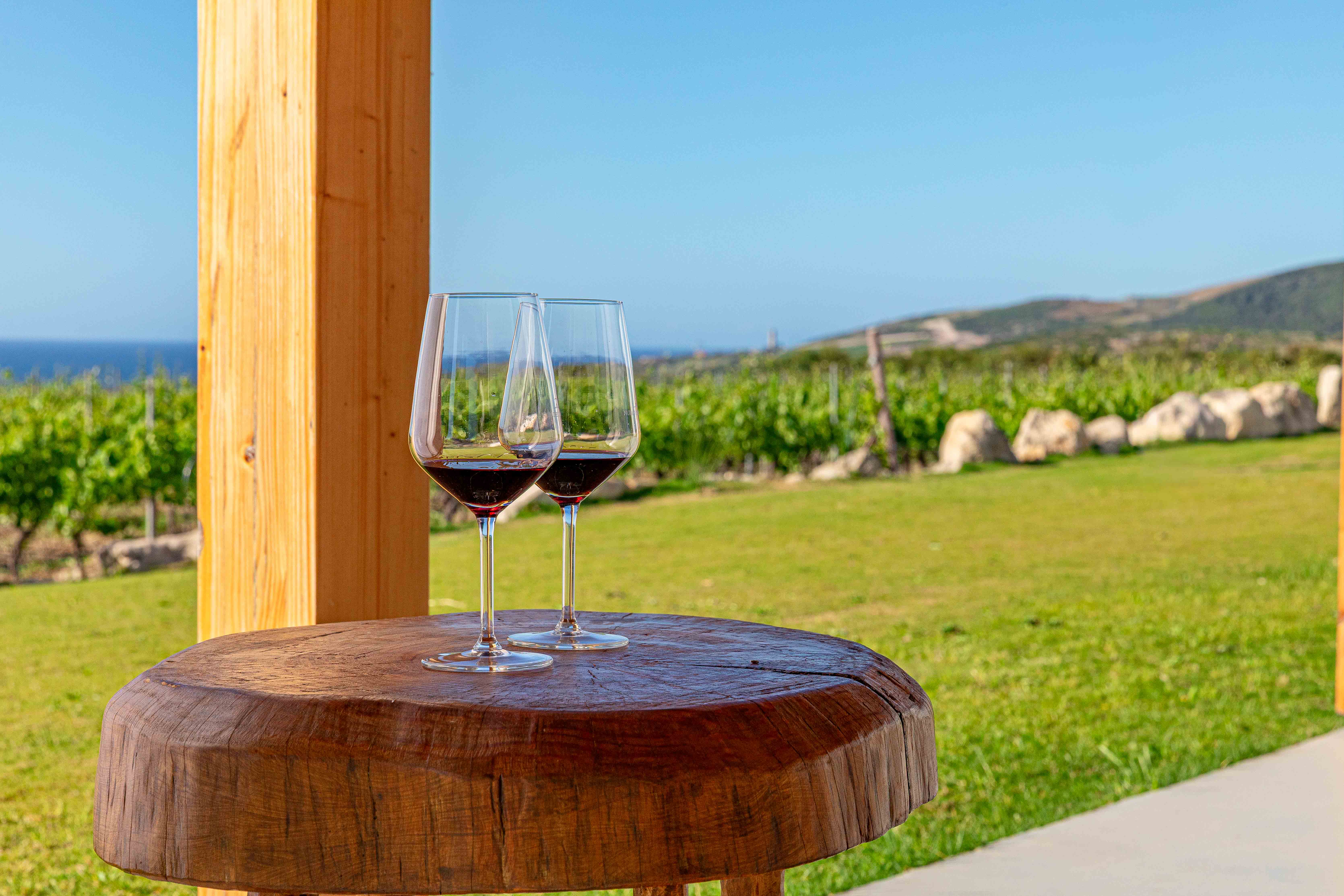 Glasses of Sardinian red wine set out for a tasting