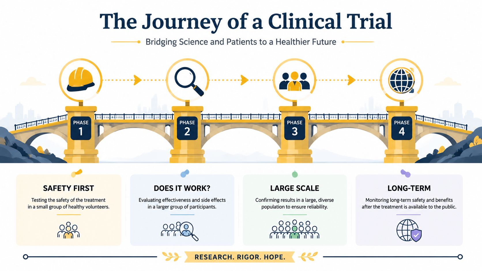 An infographic showing the four phases of a clinical trial, from safety testing to long-term monitoring.