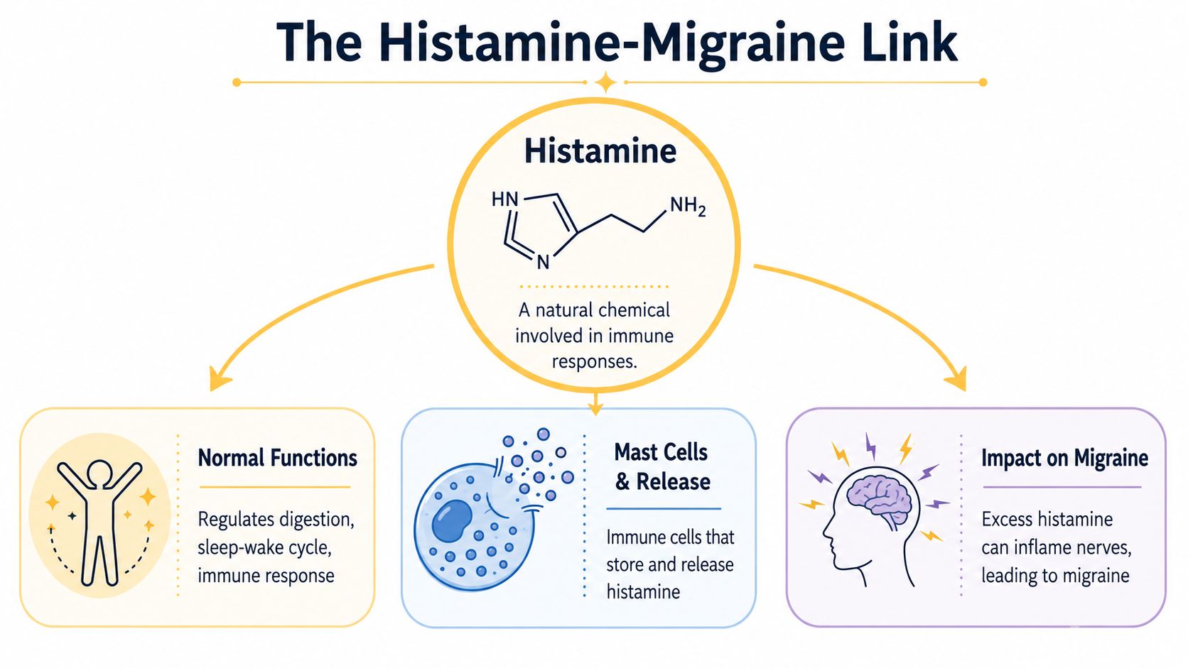 The Histamine and Migraine Connection Explained