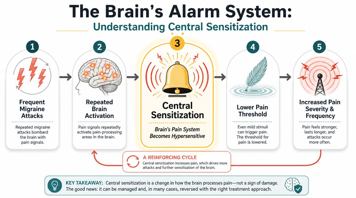 A diagram illustrating central sensitization in chronic migraines, showing how recurring pain signals make the brain hypersensitive.