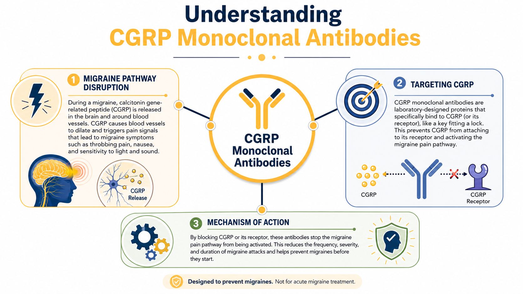 An infographic explaining how CGRP monoclonal antibodies function to prevent migraine attacks by blocking pain pathways.