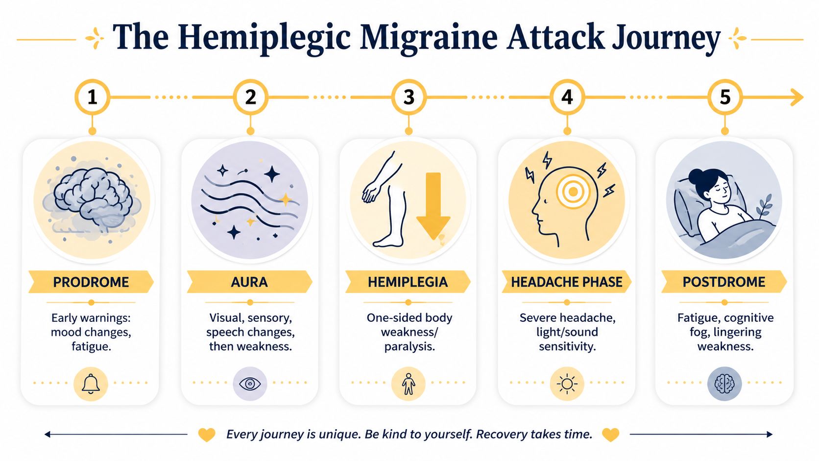 A five-step infographic illustration outlining the phases of a hemiplegic migraine attack from prodrome to postdrome recovery.