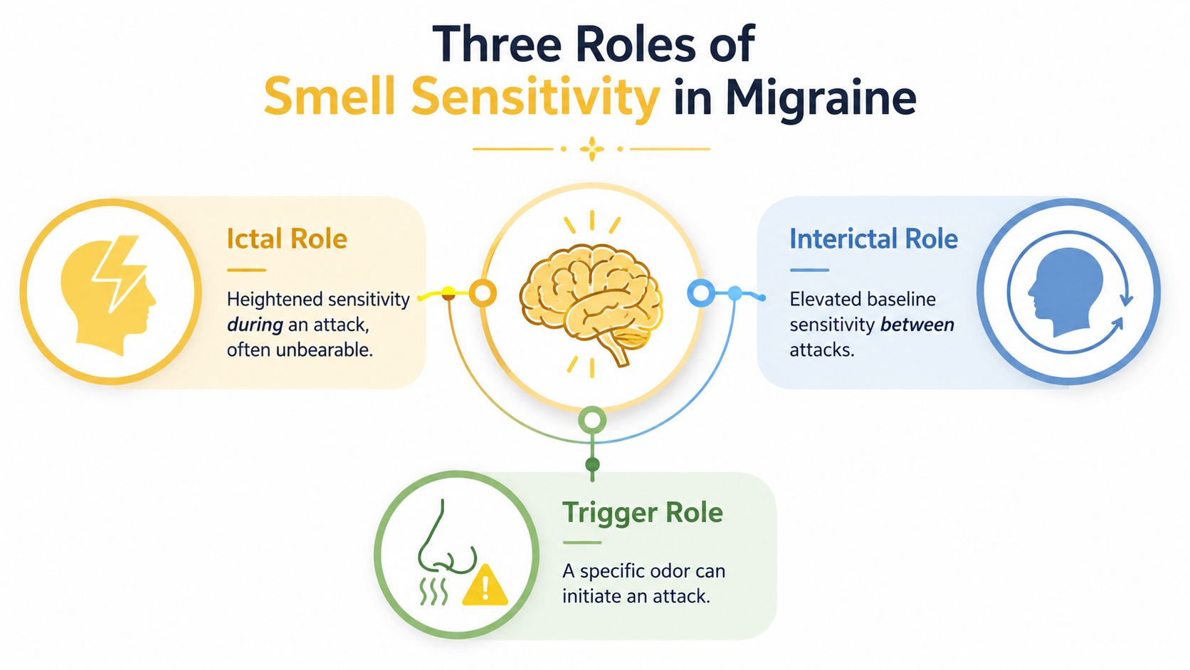 An infographic titled Three Roles of Smell Sensitivity in Migraine, explaining Ictal, Interictal, and Trigger roles.