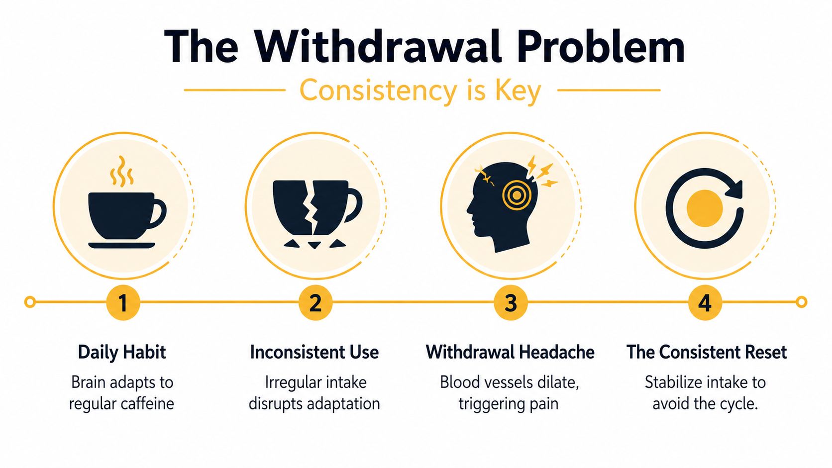 An infographic titled The Withdrawal Problem showing four steps explaining how inconsistent caffeine consumption causes withdrawal headaches.