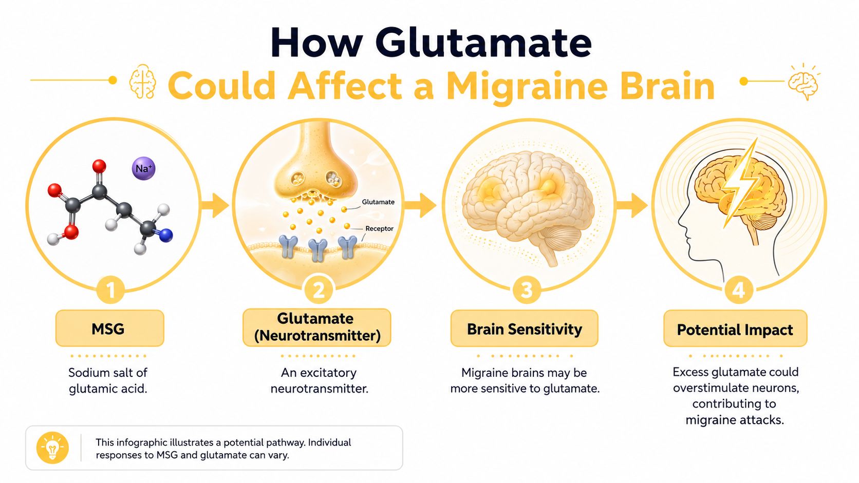 An infographic showing the four-step process of how MSG acts as an excitatory neurotransmitter during migraine attacks.