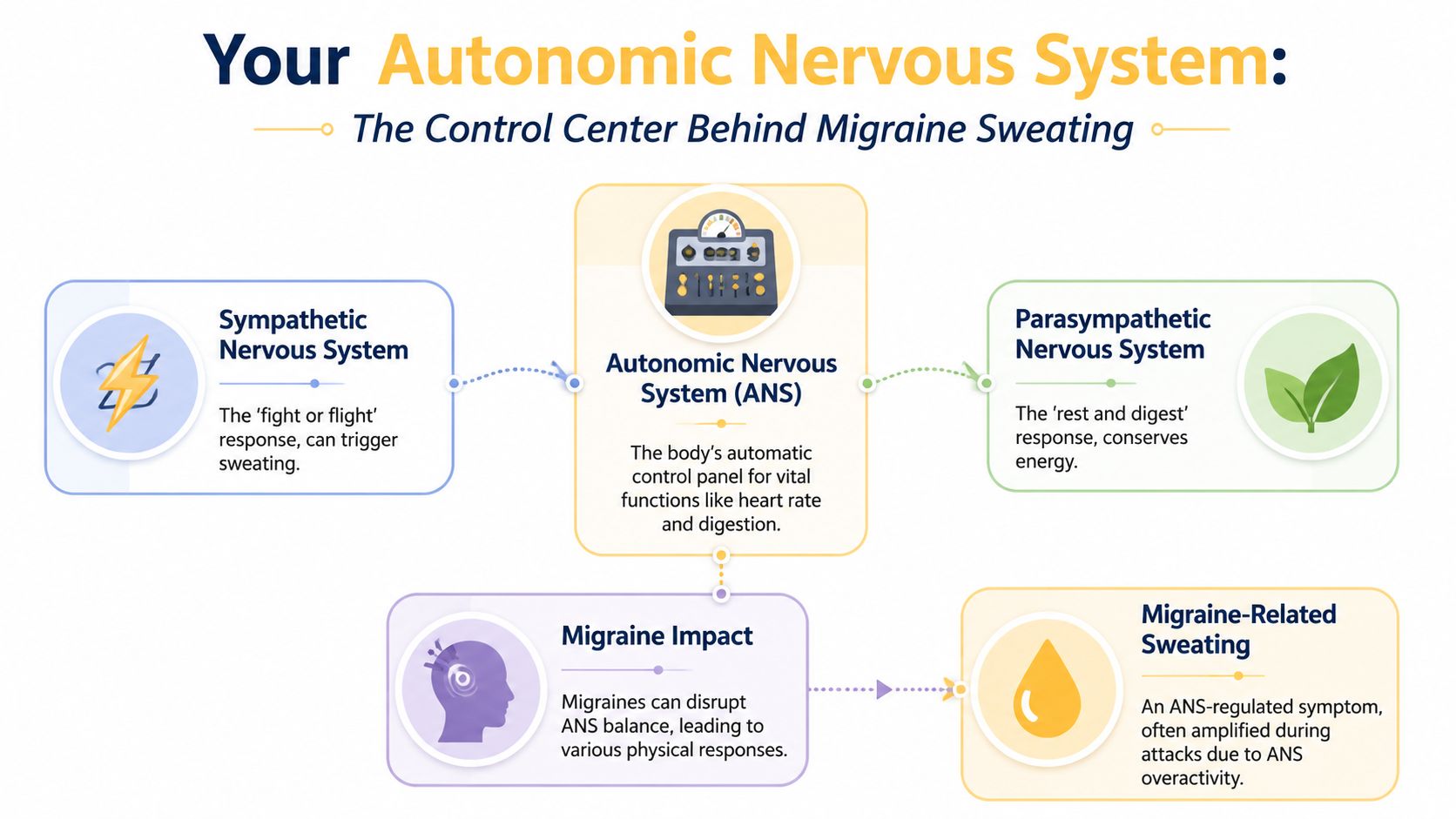 A diagram explaining how the autonomic nervous system and its responses are linked to migraine-related sweating symptoms.