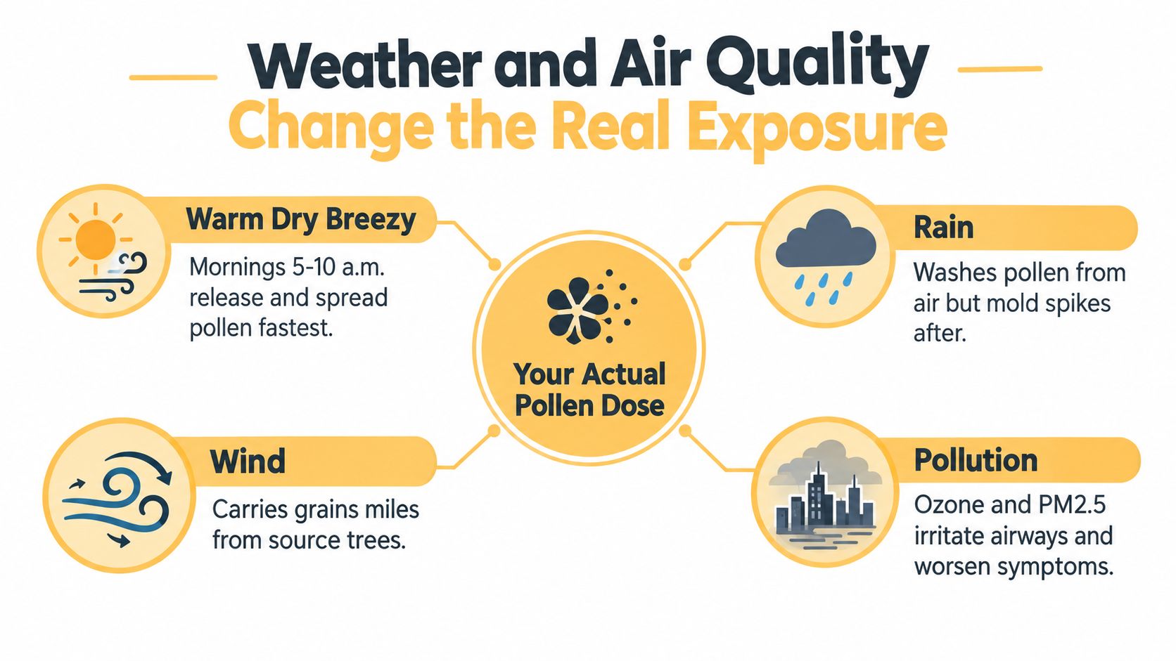 An infographic showing how weather conditions like wind, rain, and pollution affect your actual pollen exposure.