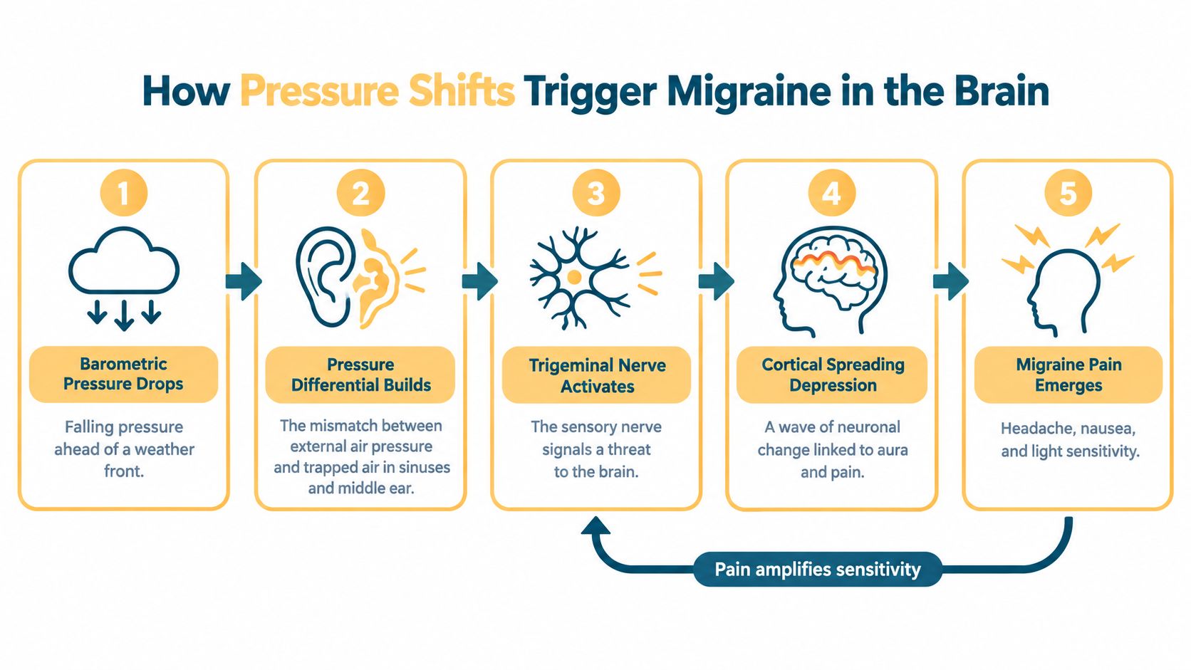 A diagram illustrating the five stages of how barometric pressure drops trigger migraine pain in the brain.