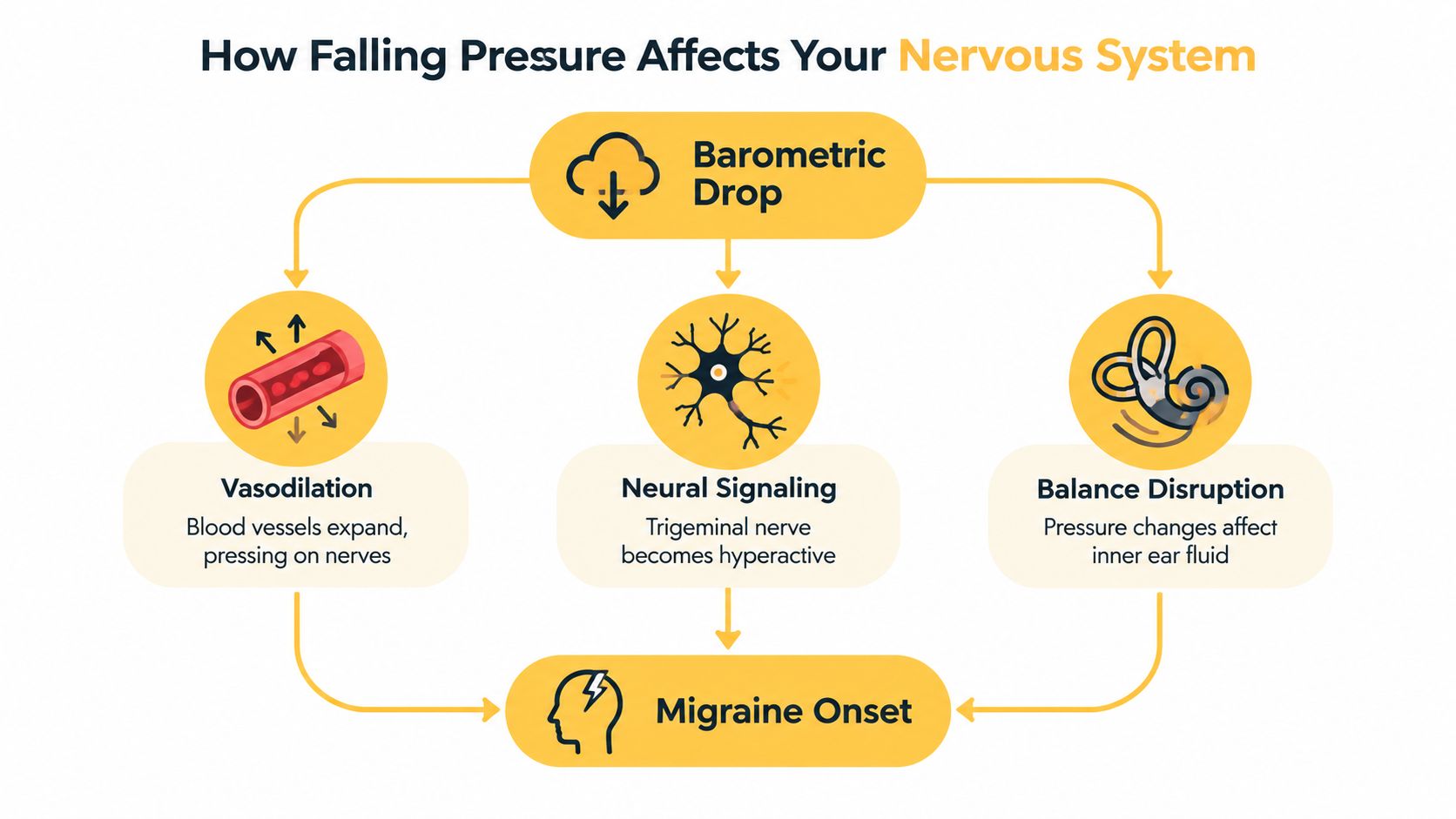 A flowchart explaining how a barometric pressure drop causes migraines through vasodilation, neural signaling, and balance disruption.