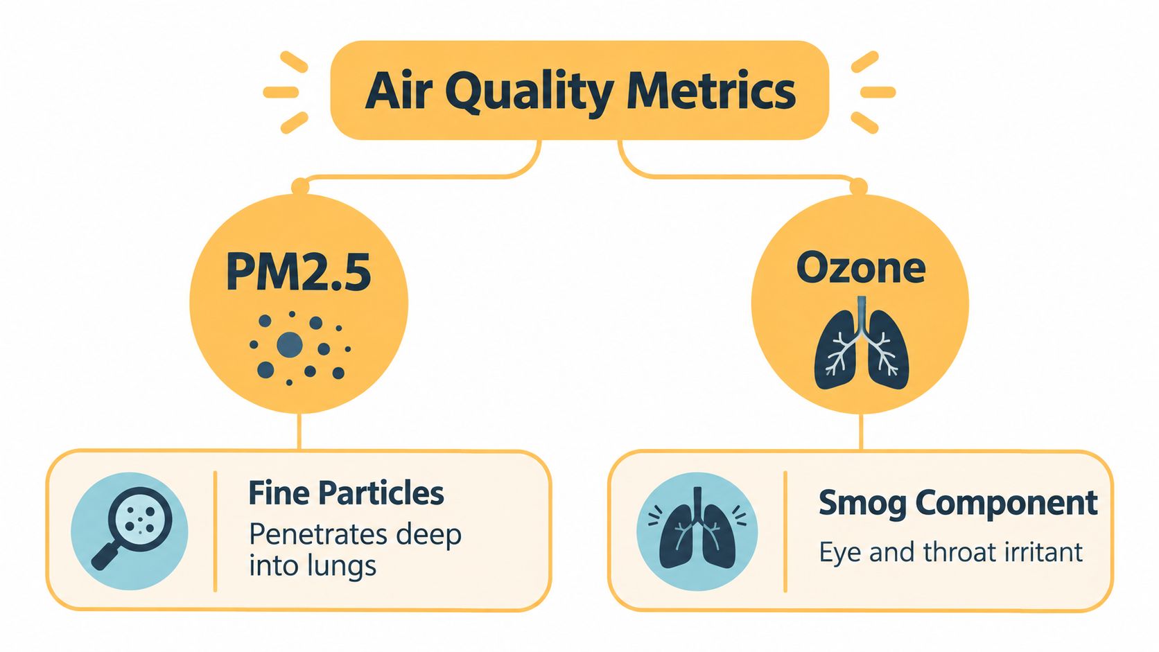 A diagram explaining air quality metrics, specifically PM2.5 fine particles and ozone as a smog component.