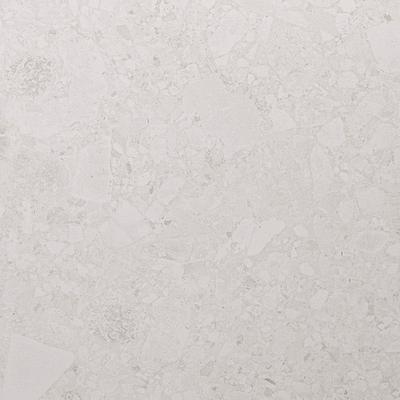 Dapple White