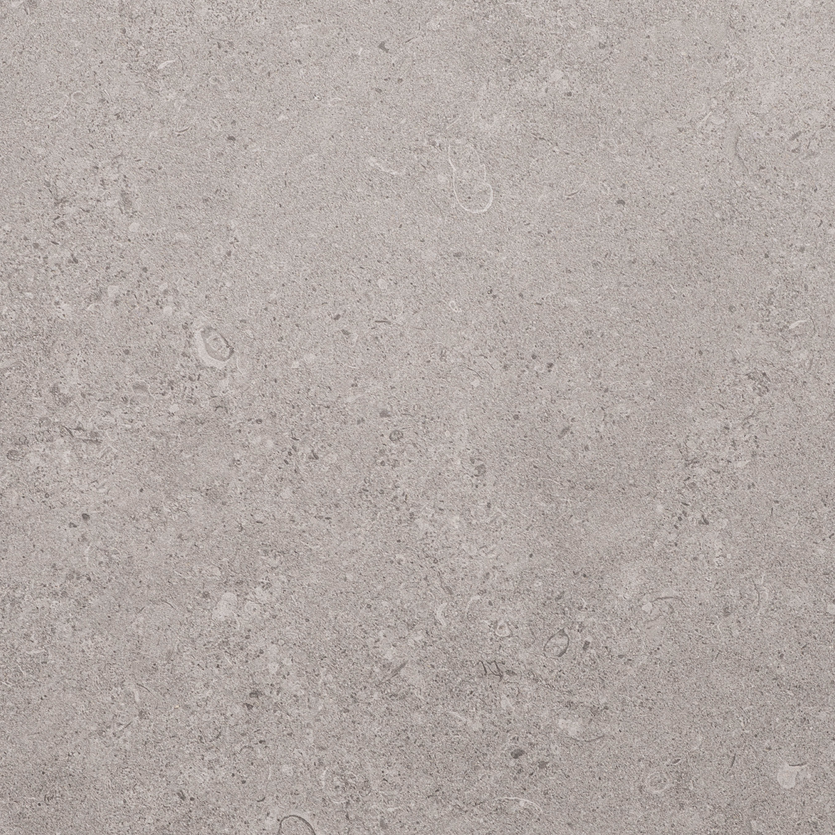 Chiffon Grey