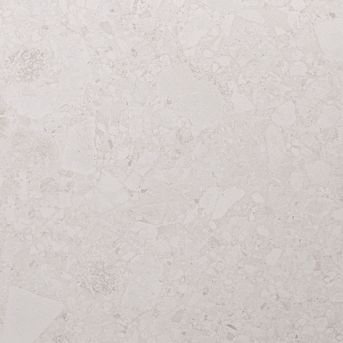 Dapple White