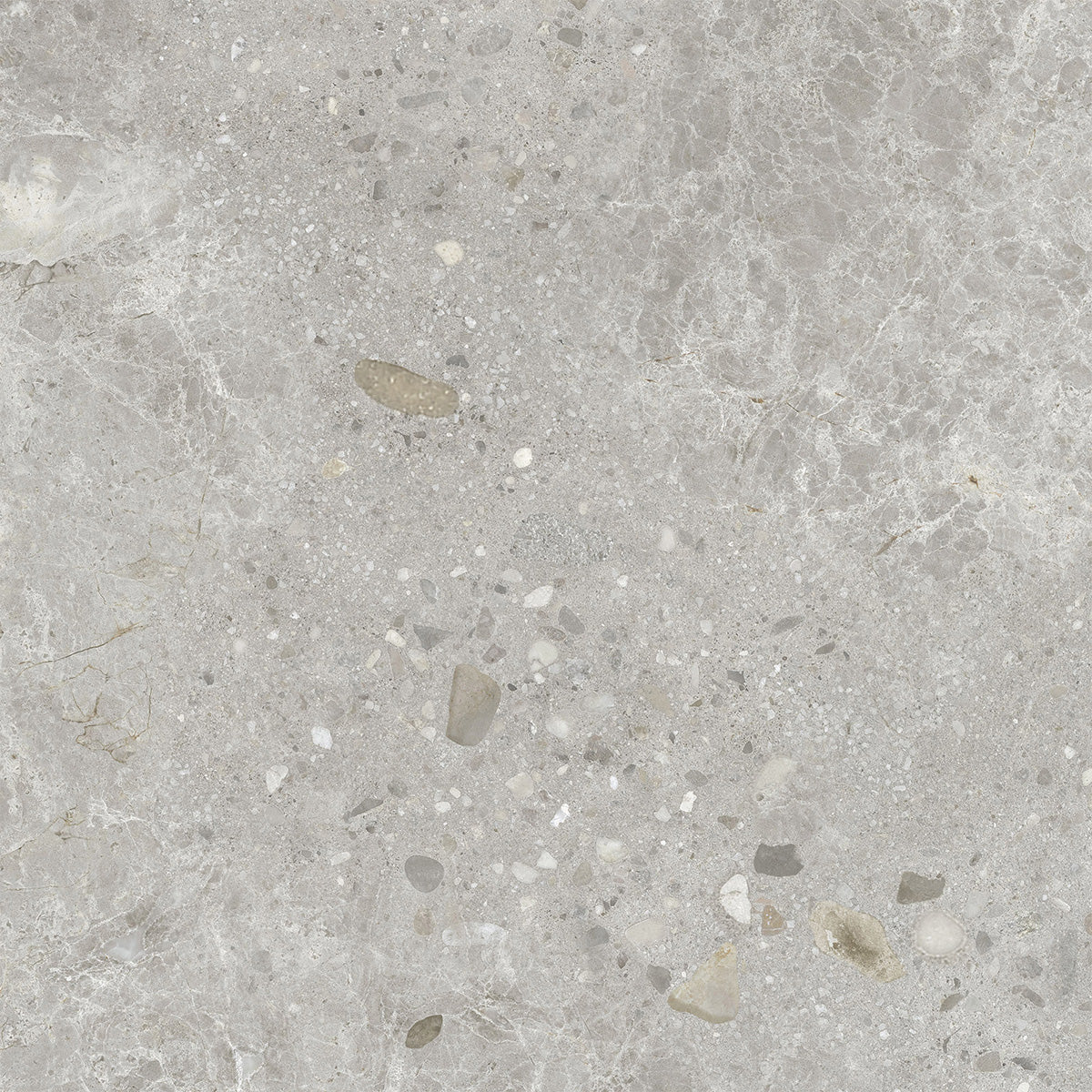 Luce Silver