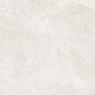 Astor Coral