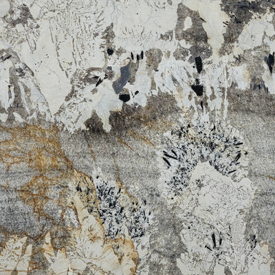 Patagonia Gold Quartzite