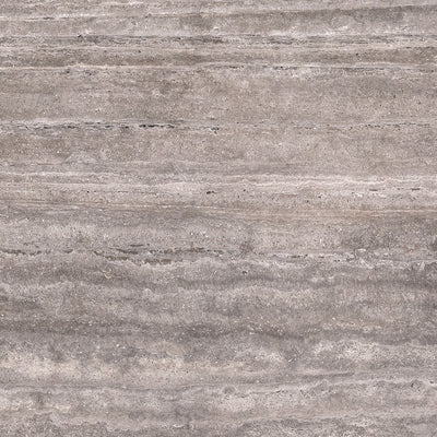 Titanium Silver Vein Cut