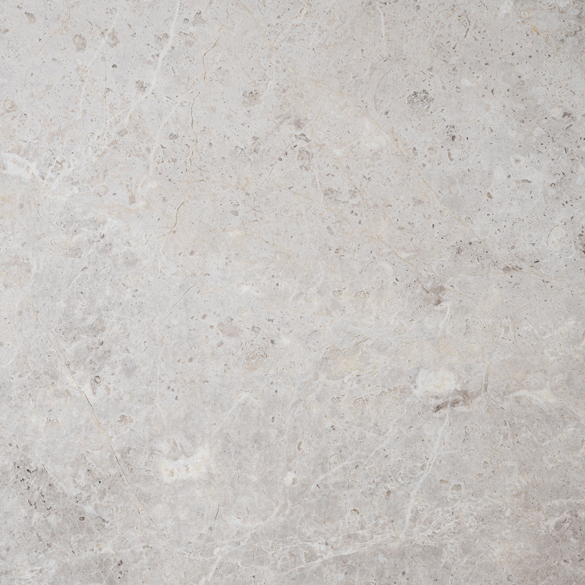 SynergyStone Grigio Orsola