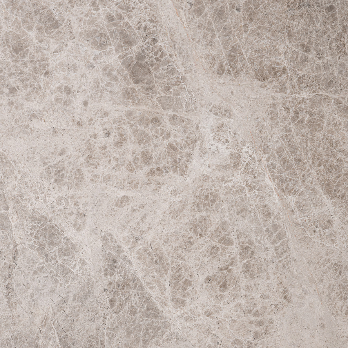 SynergyStone Tundra Beige