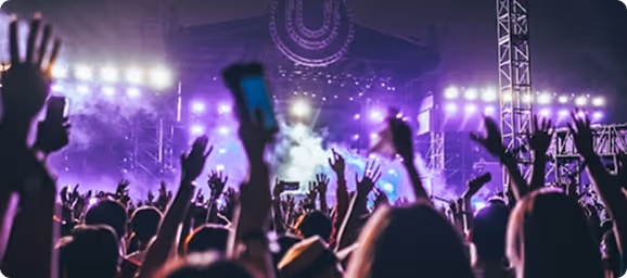 Audience cheering at live concert