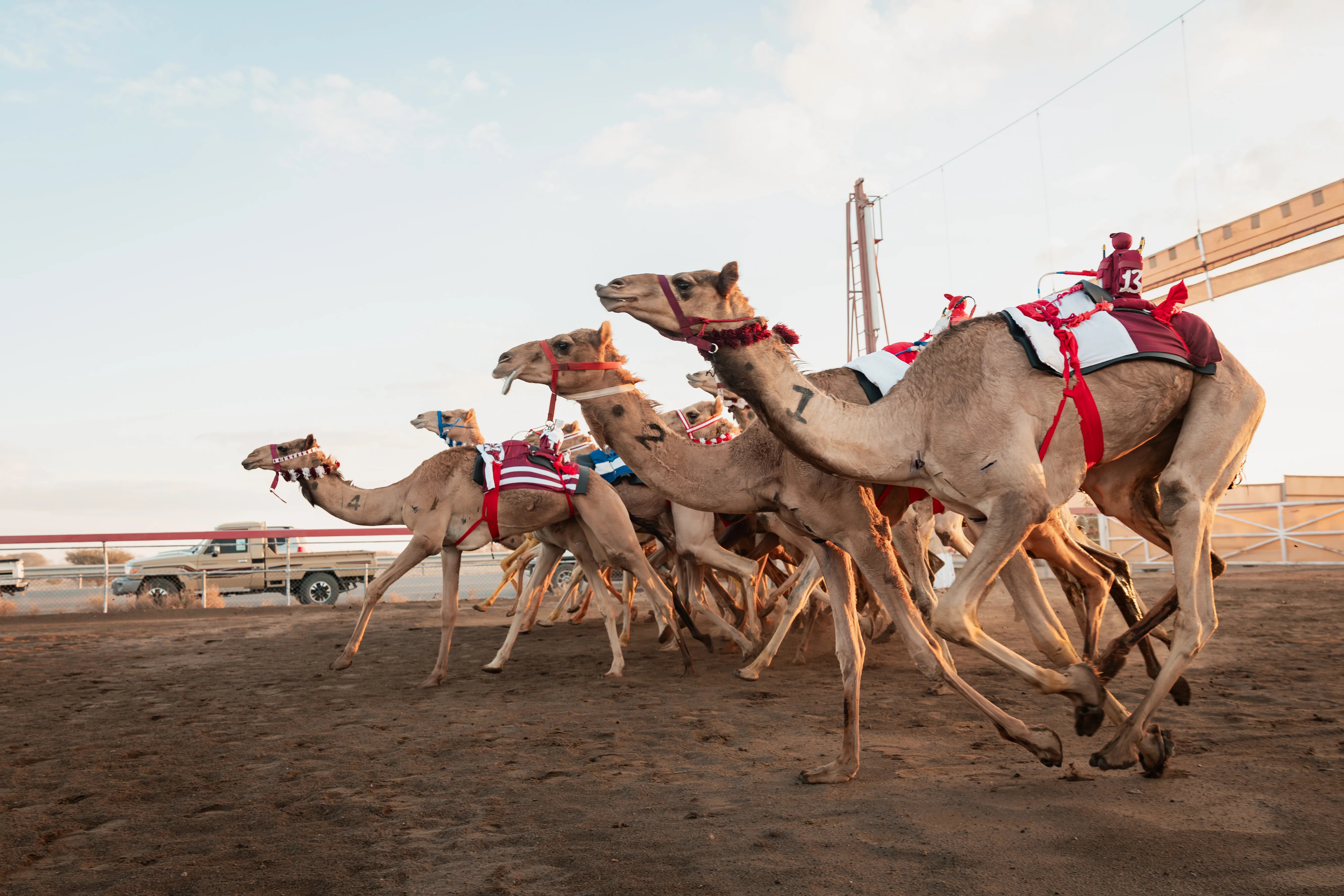 Al Haboob Elite Camel Racing