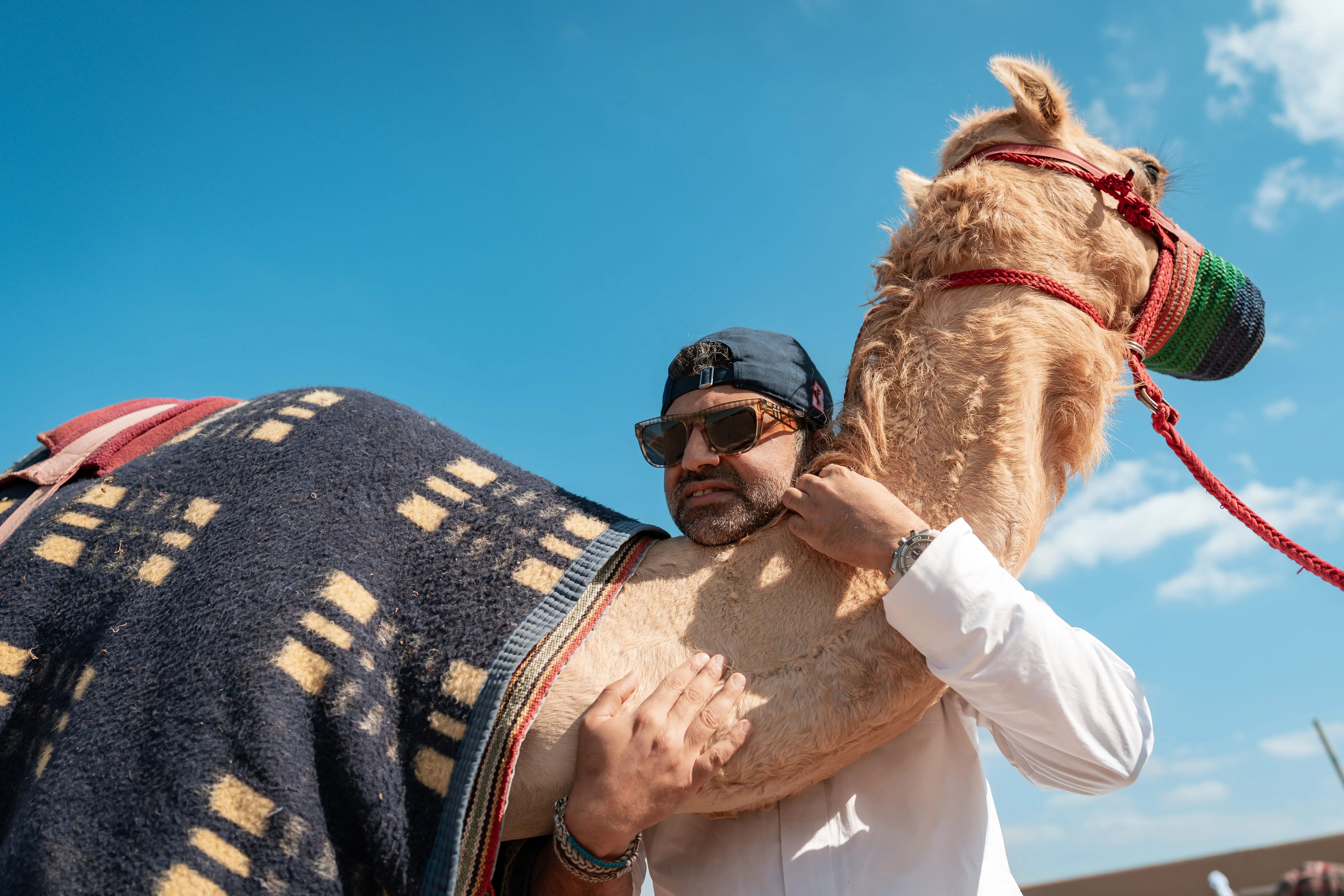 Al Haboob Elite Camel Racing