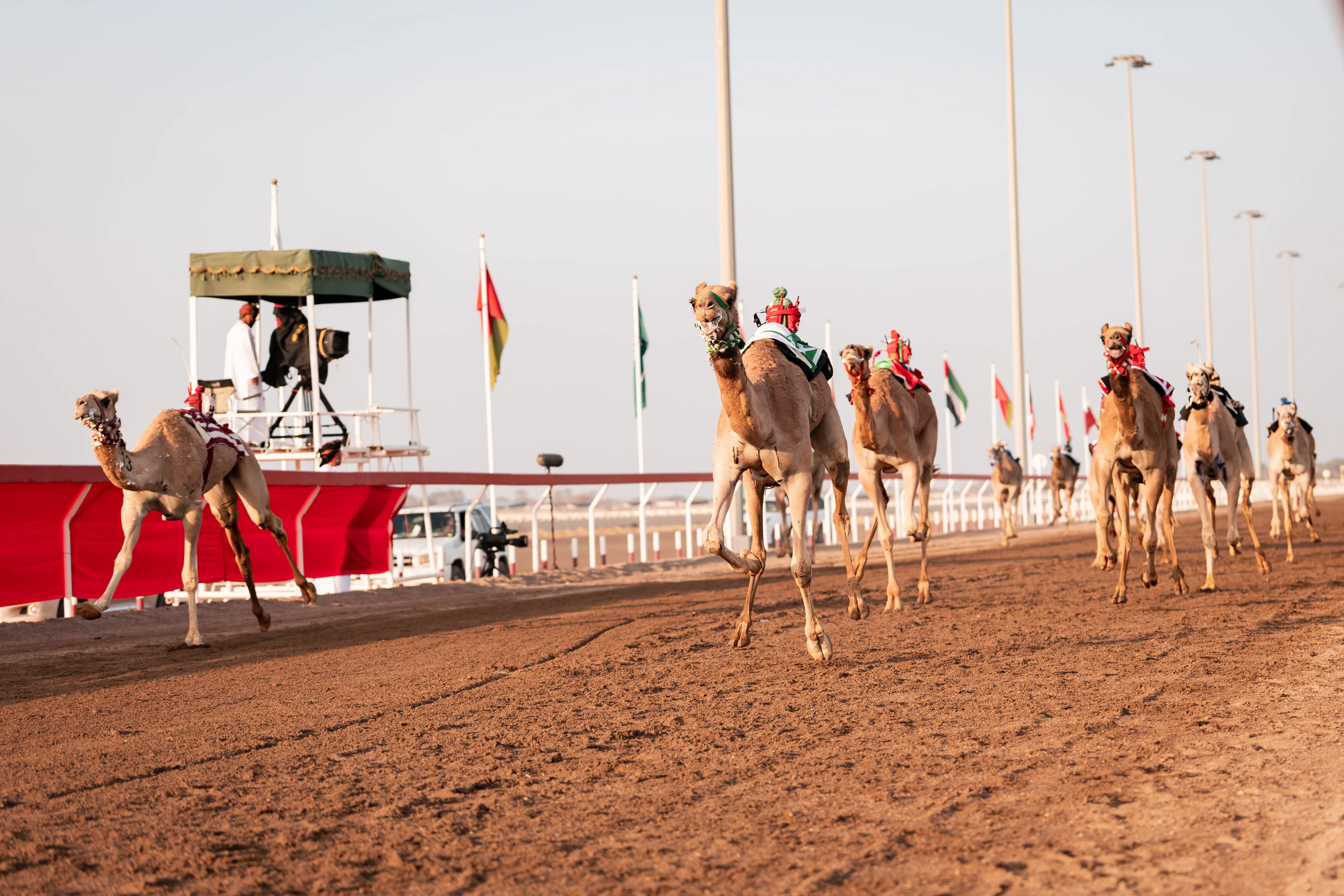 Al Haboob Elite Camel Racing