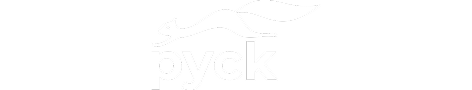 Pyck