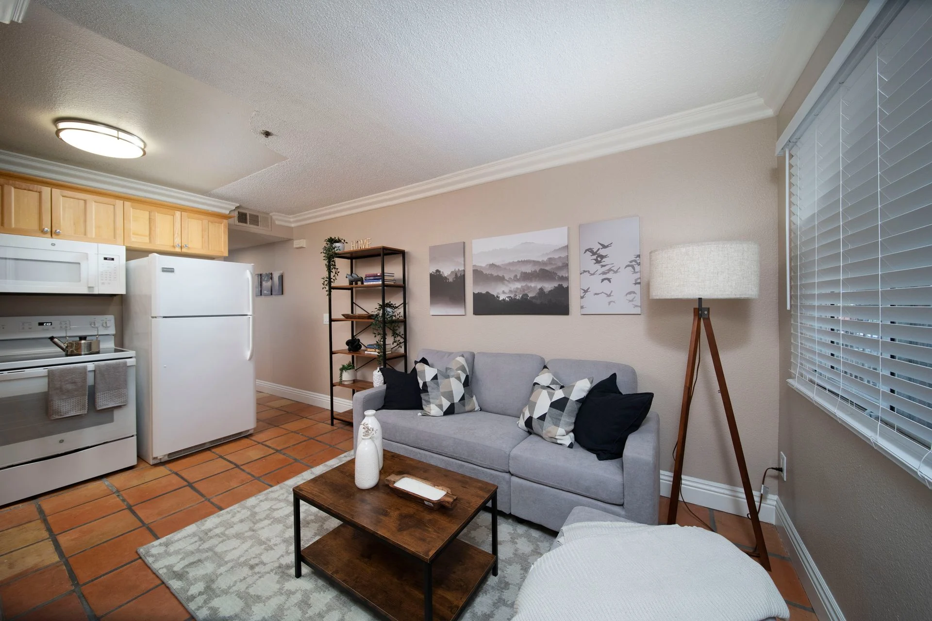 Furnished living room