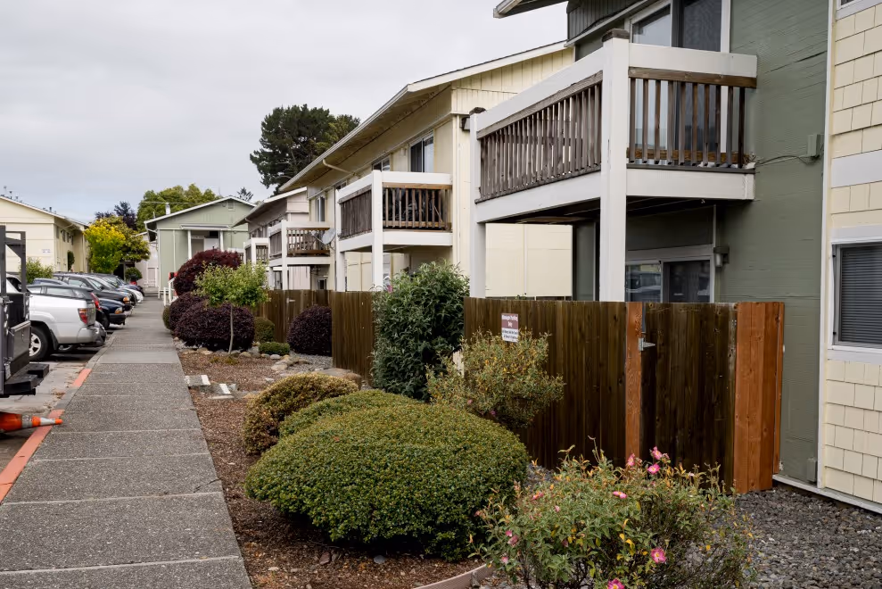Exterior with shrubs and fence