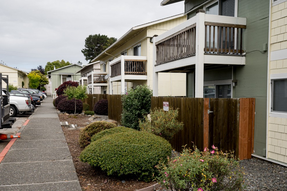 Exterior with shrubs and fence