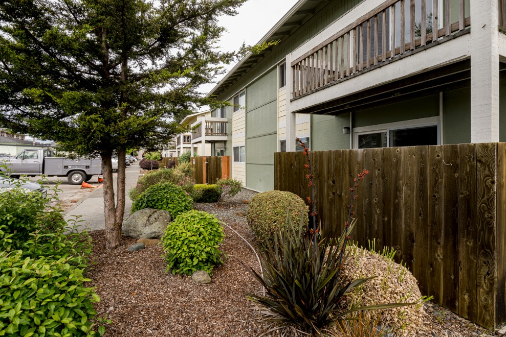 Exterior with trees and fence