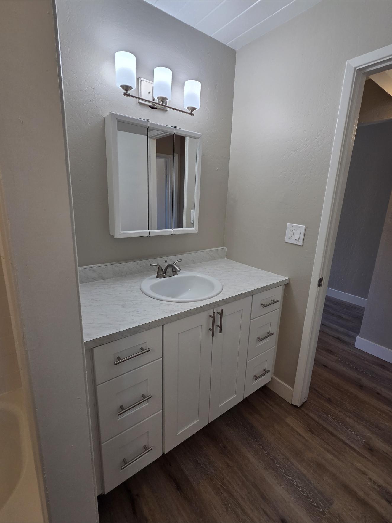 bathroom vanity and mirror