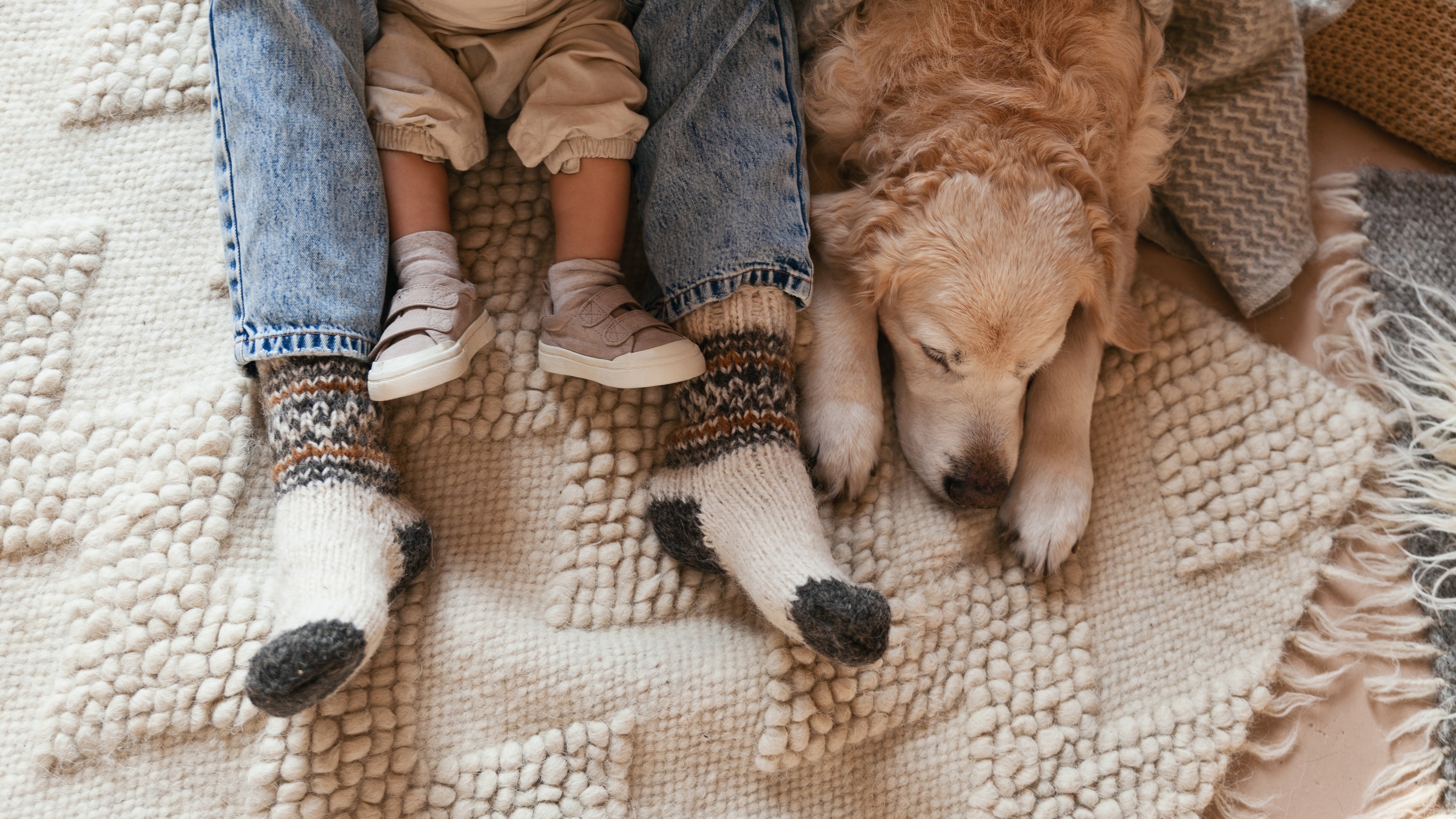 Two children's legs and a dog on the floor stock photo