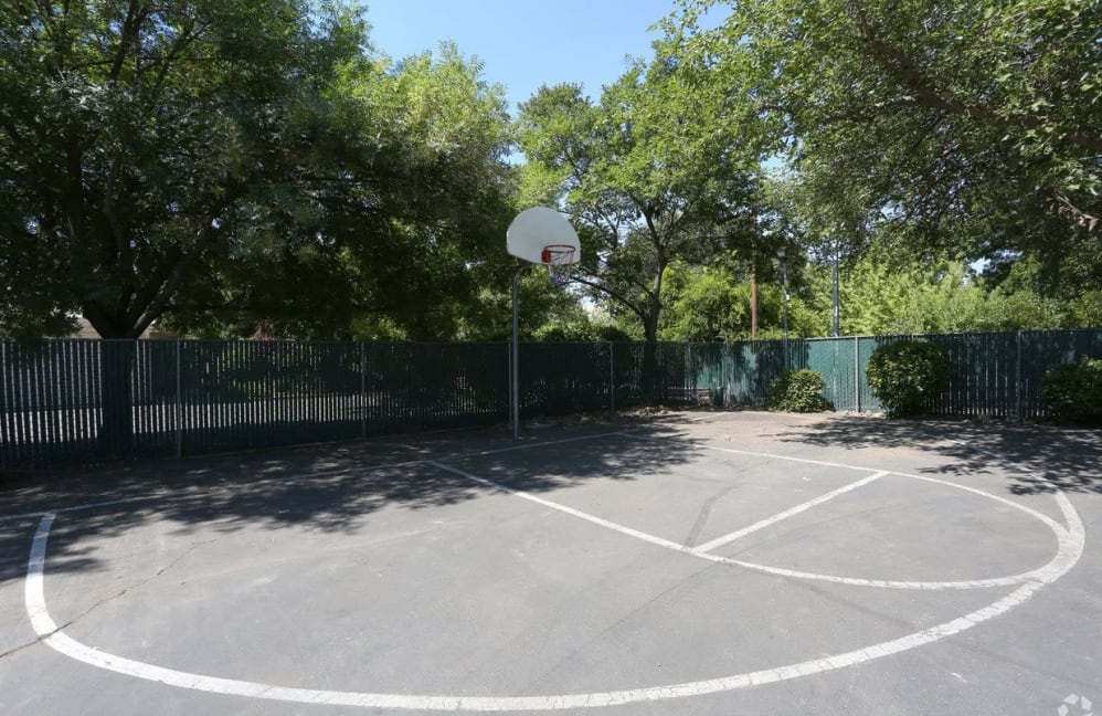 Basketball court