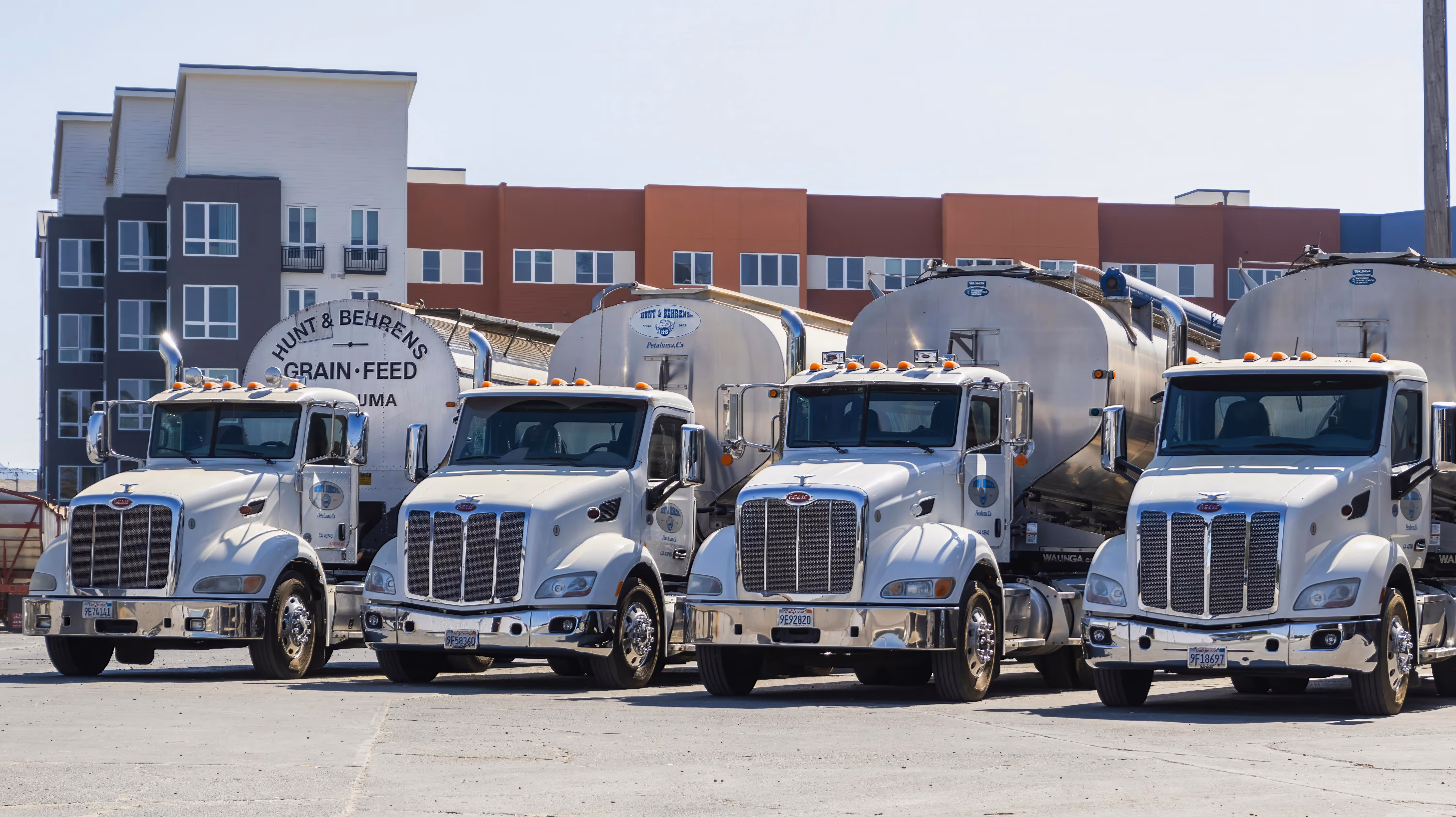 A row of semi trucks with tanker trailers parked at a transport yard.