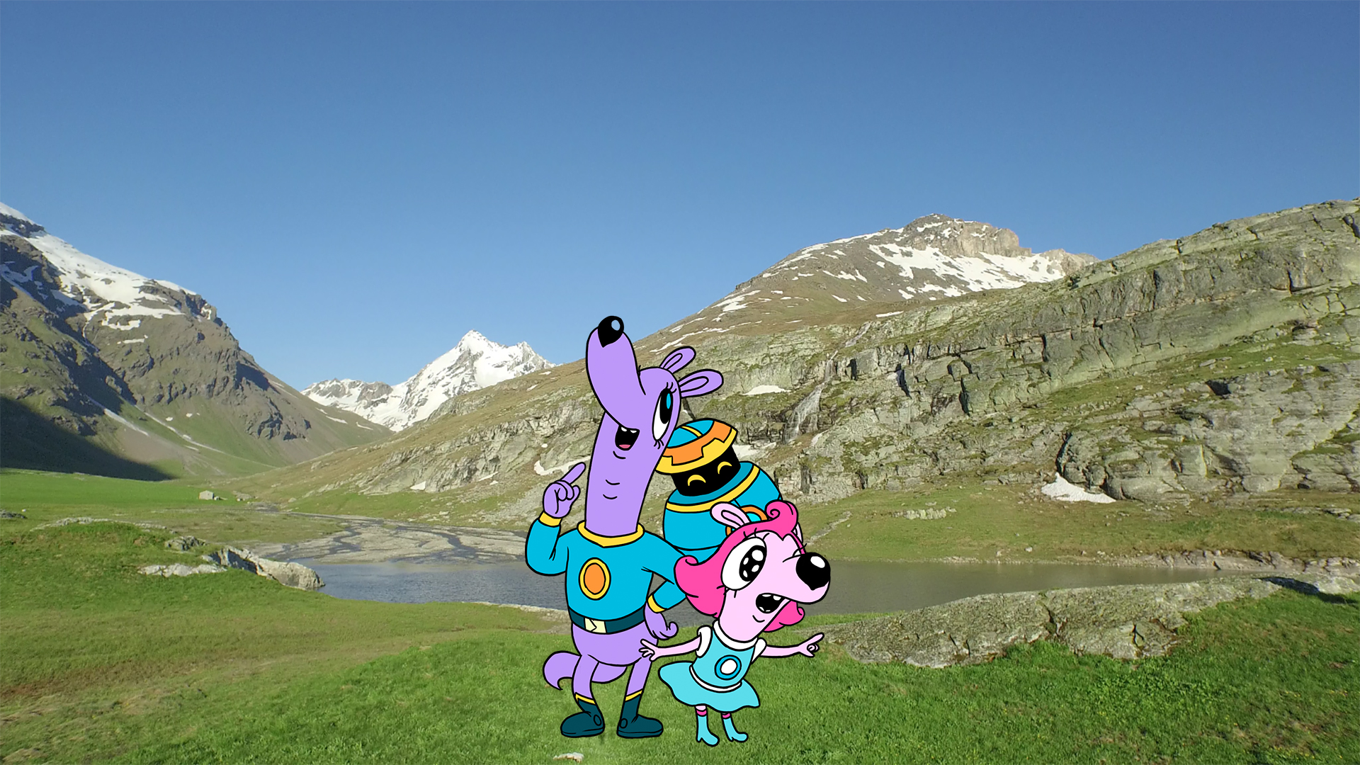 Zamzoom's Animal Adventures