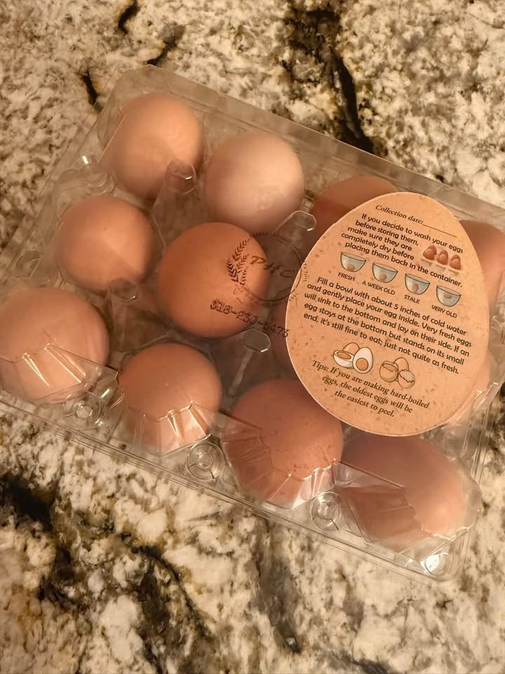 Carton of farm-fresh brown eggs from PHC Farm