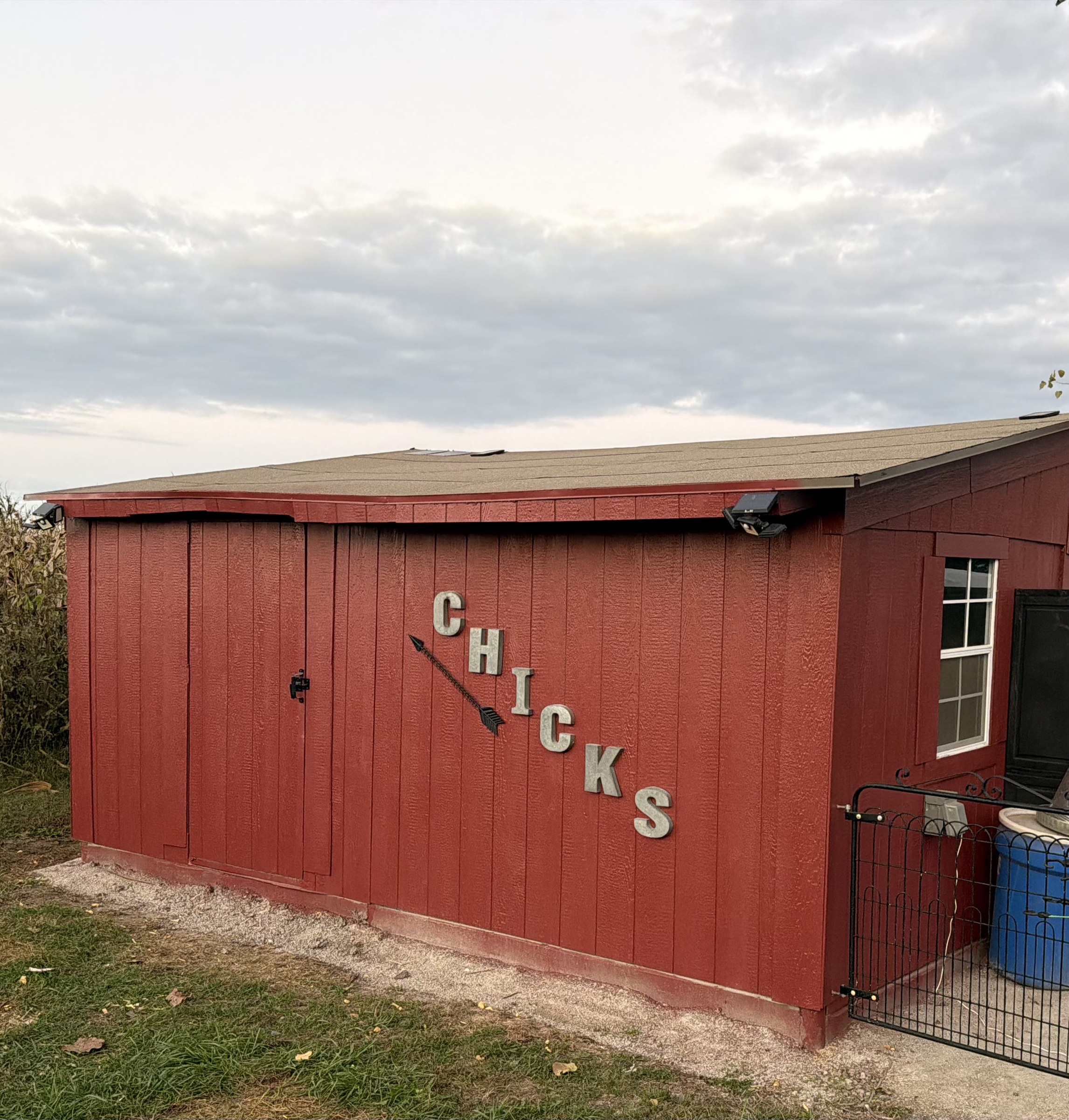 Red chicken coop with metal Chicks sign at PHC Farm