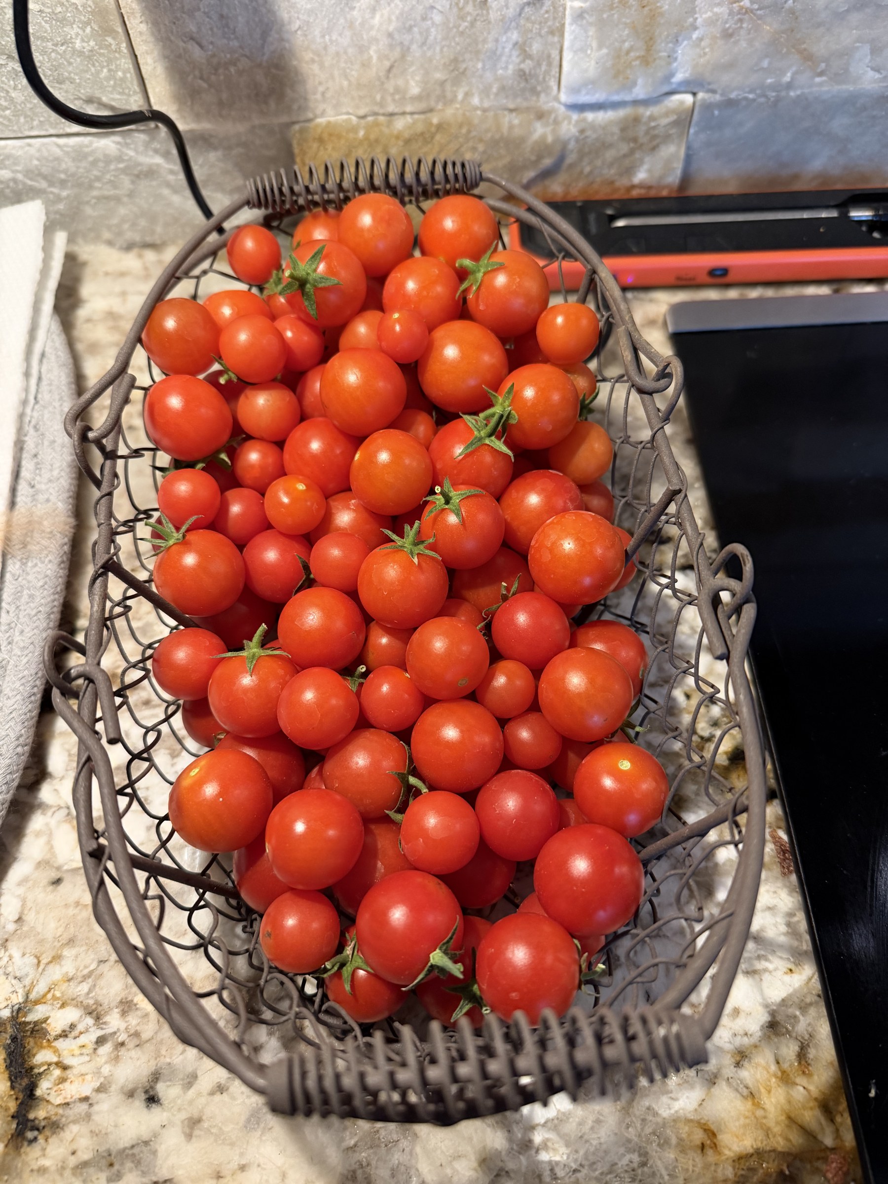 Wire basket overflowing with cherry tomatoes from PHC Farm